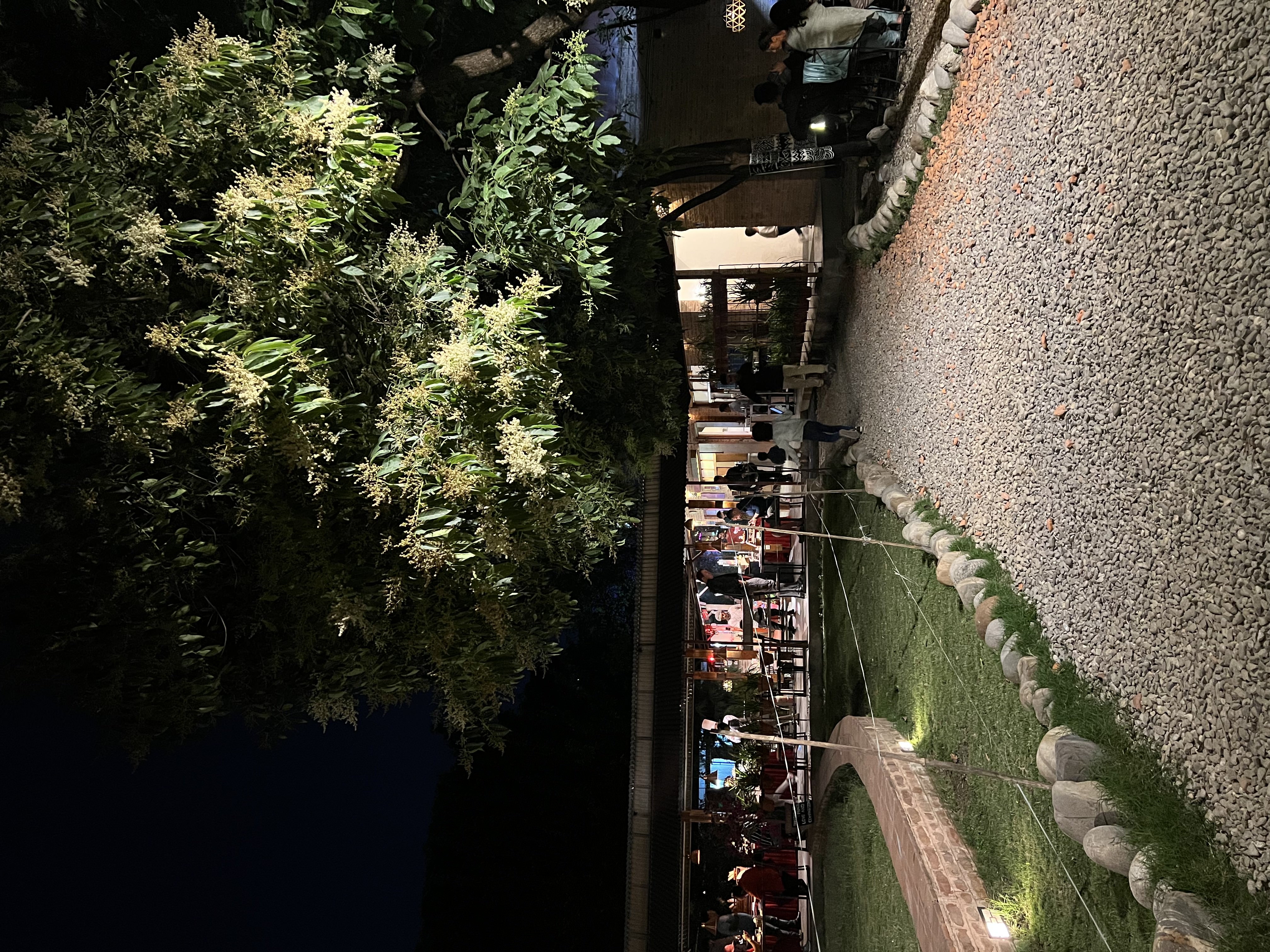 Community Plant