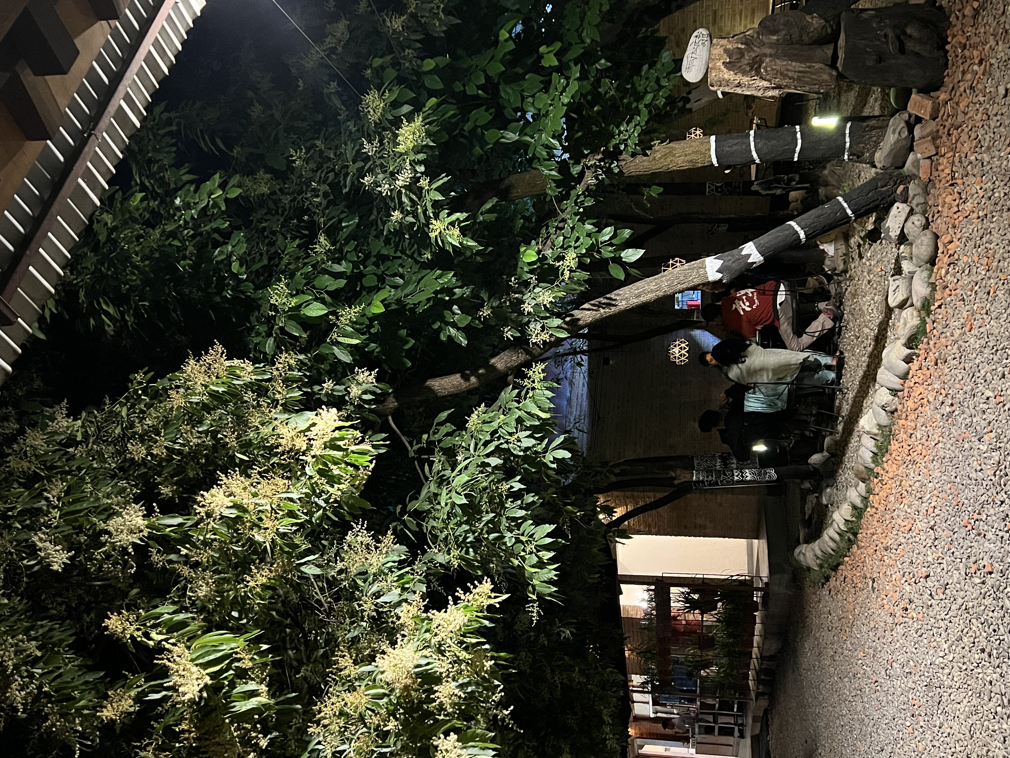 Community Plant
