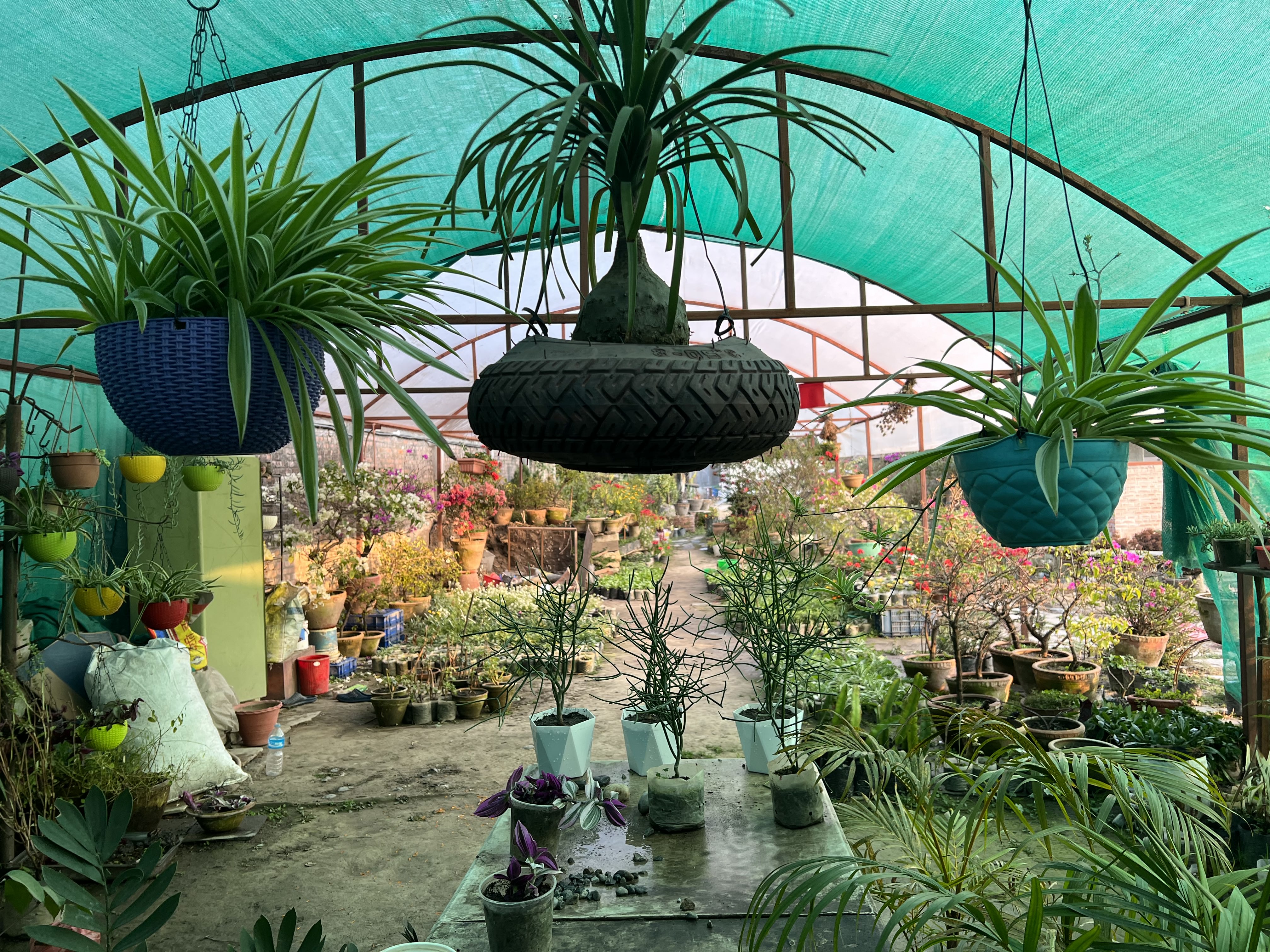 Utpala Nursery